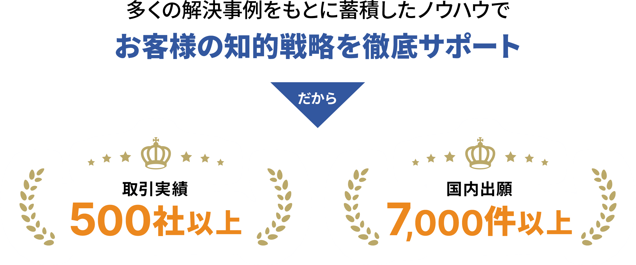 多くの解決事例をもとに蓄積したノウハウでお客様の知的戦略を徹底サポート
                  