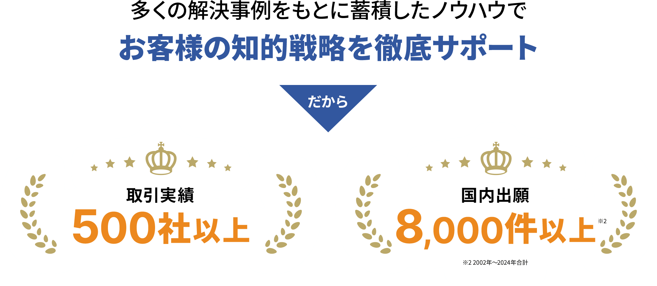 多くの解決事例をもとに蓄積したノウハウでお客様の知的戦略を徹底サポート
                  